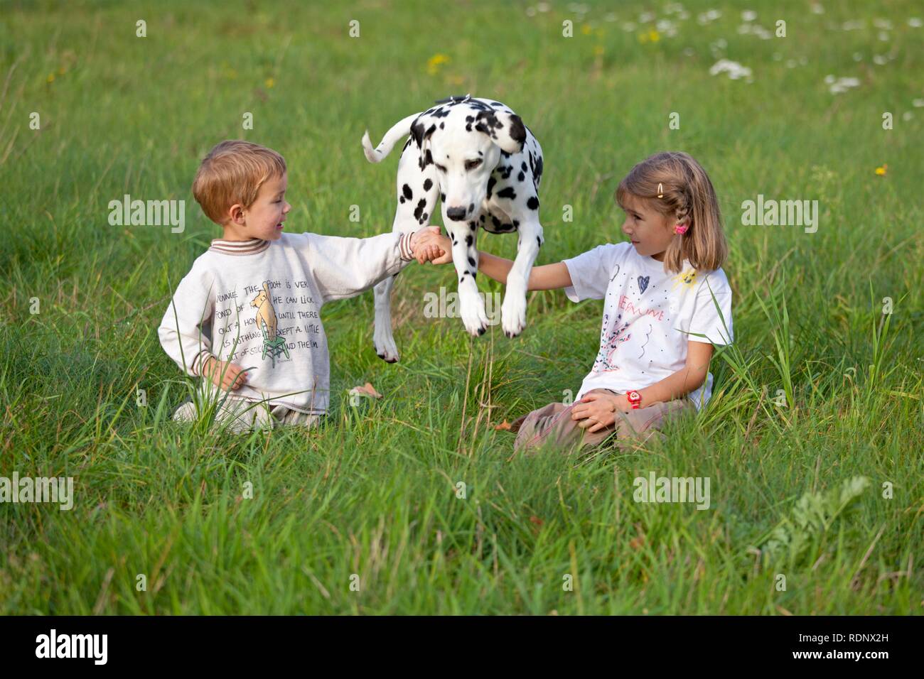 Children with Dalmatian in a meadow Stock Photo