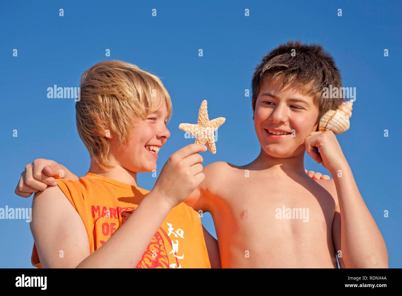 Portrait of two boys with starfish and shell Stock Photo