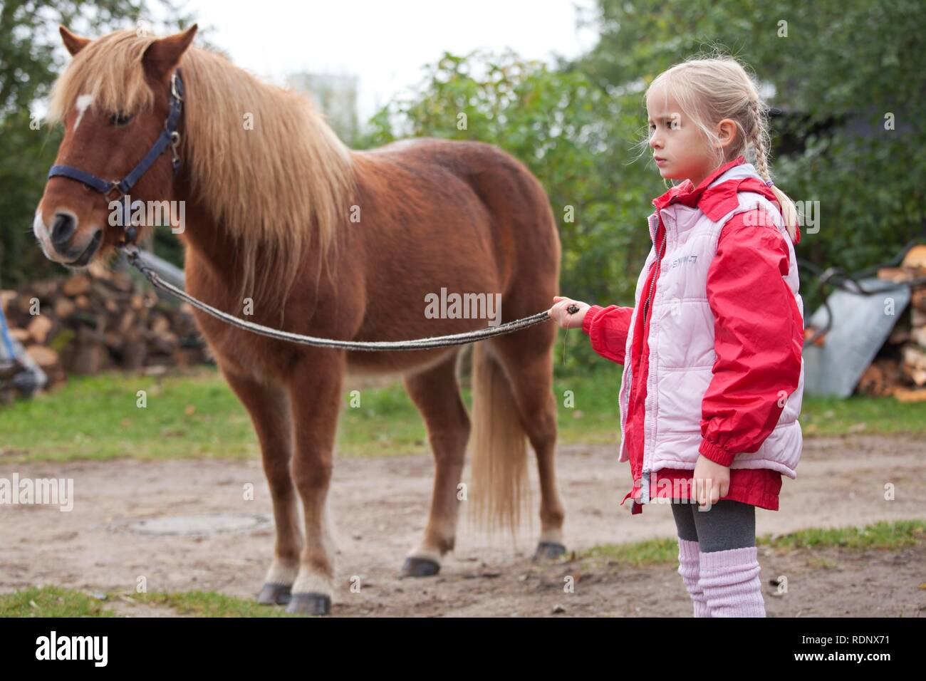 Young girl with a pony Stock Photo