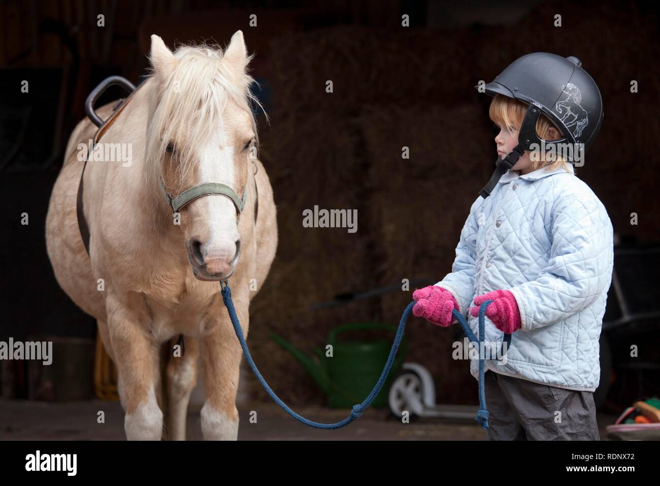 Young girl with a pony Stock Photo