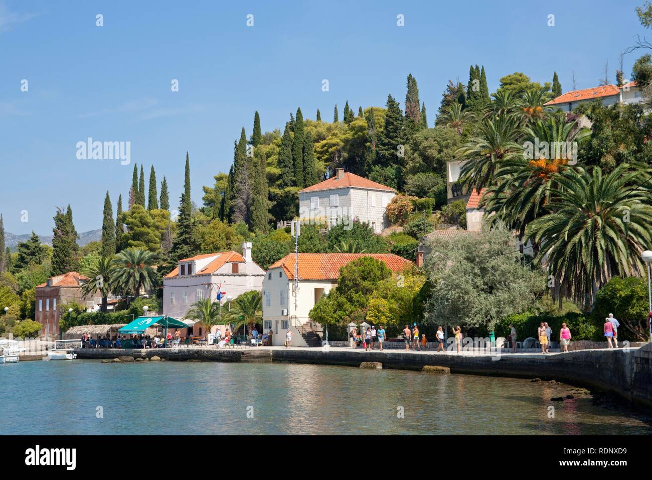 Village on Kolocep Island near Dubrovnik, Elaphiti or Elafiti islands, Southern Dalmatia, Adriatic Coast, Croatia, Europe Stock Photo