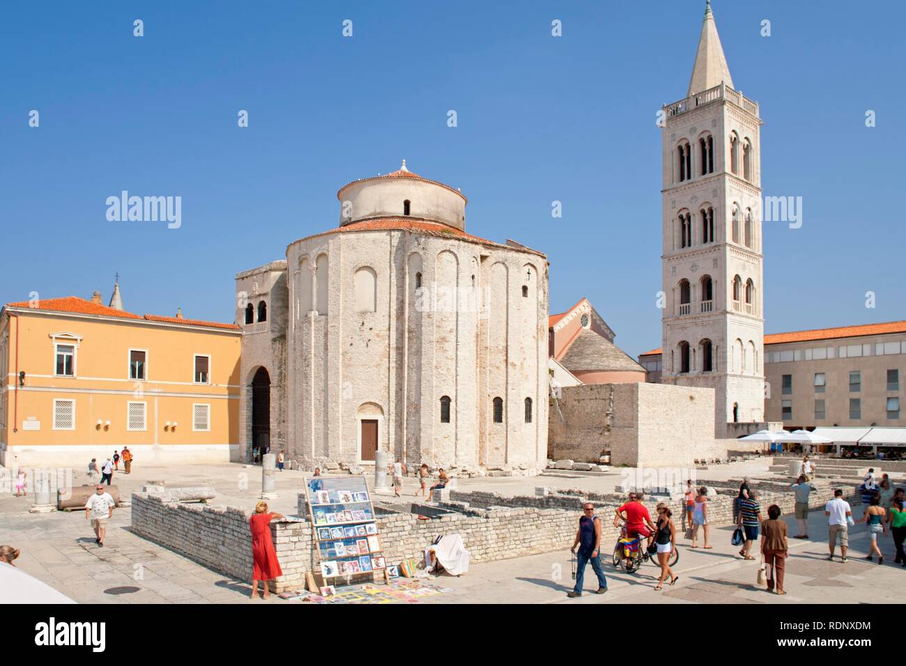 The circular church of St. Donat and the bell tower of St. Anastasia's Cathedral in Zadar, Adriatic Coast, Dalmatia, Croatia Stock Photo