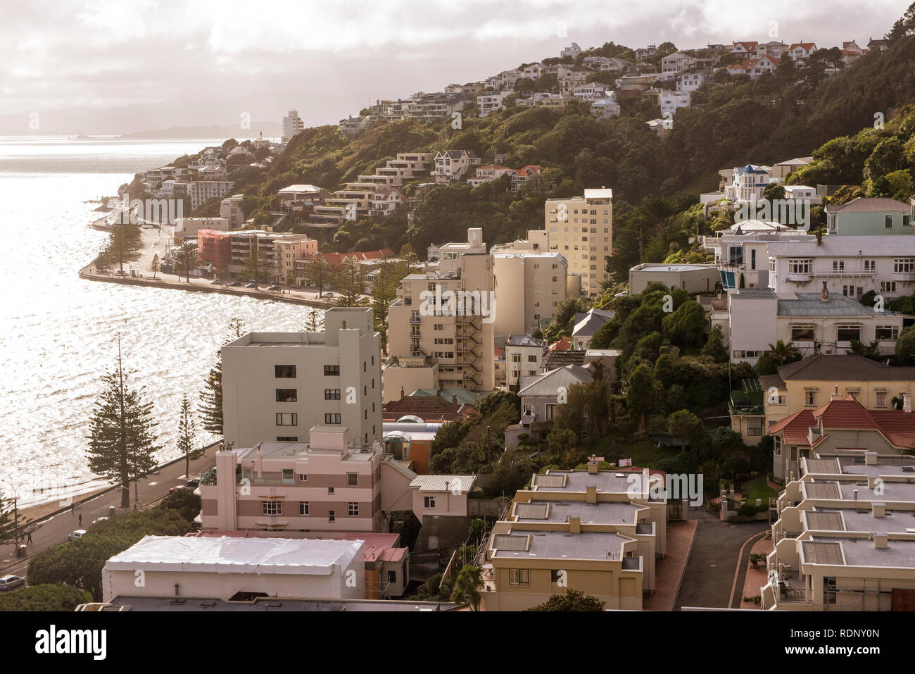View of the Mount Victoria neighborhood in Wellington on the North Island of New Zealand. Stock Photo