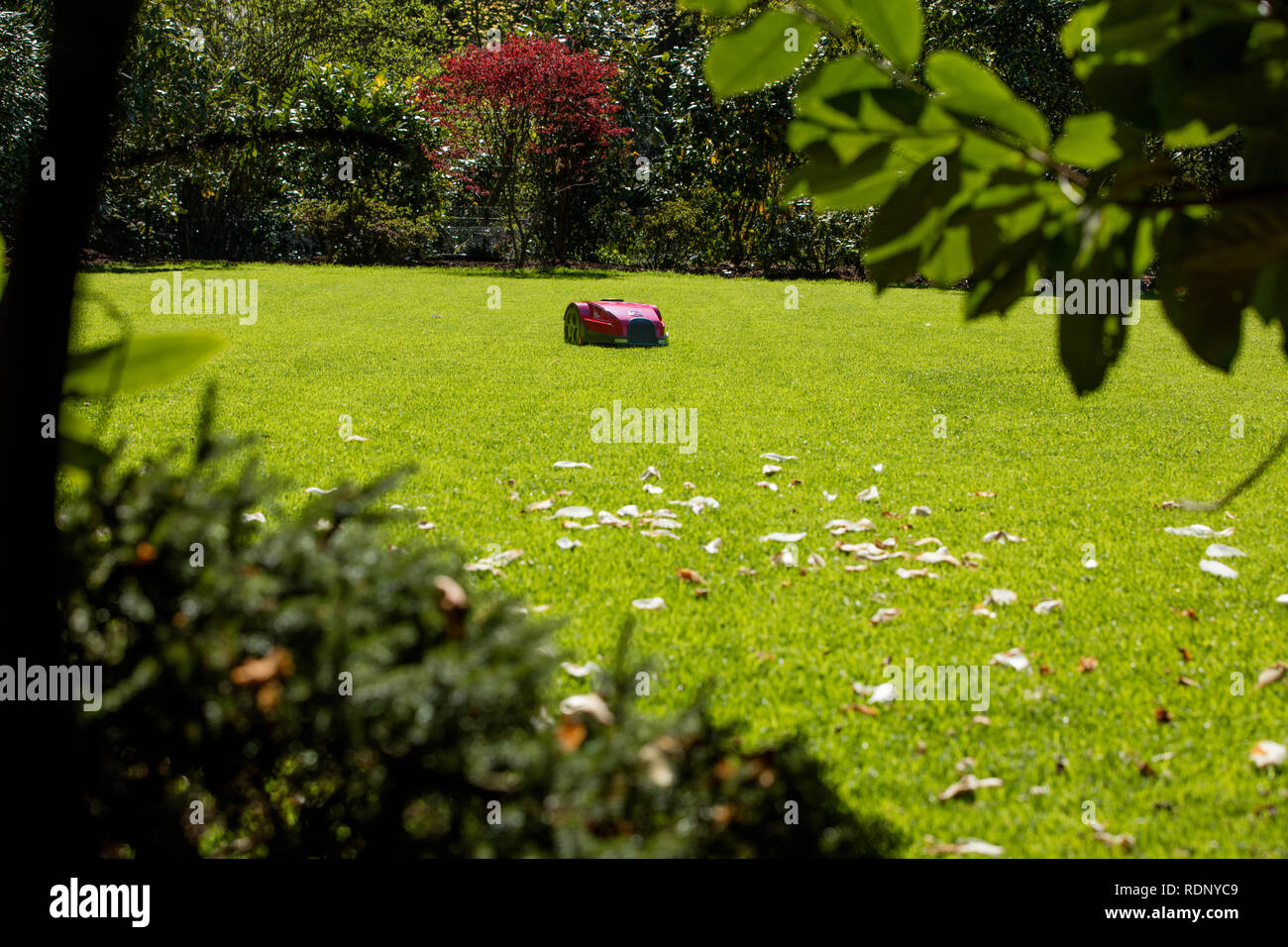 Electric lawn mower Stock Photo