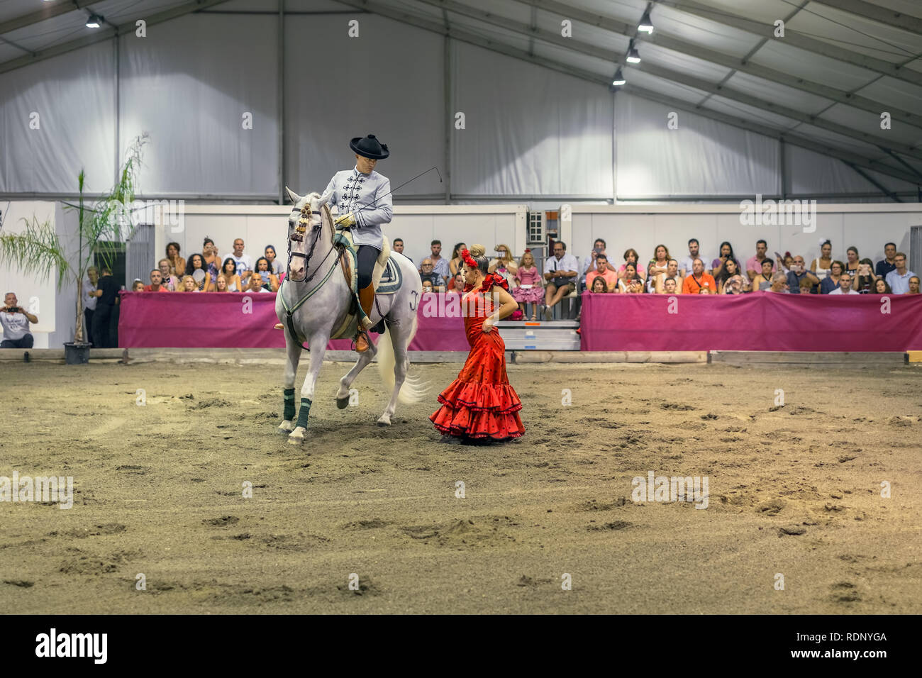 Malaga, Spain August 11, 2018. Traditional Spanish horse riding and a flamenco dancer during a