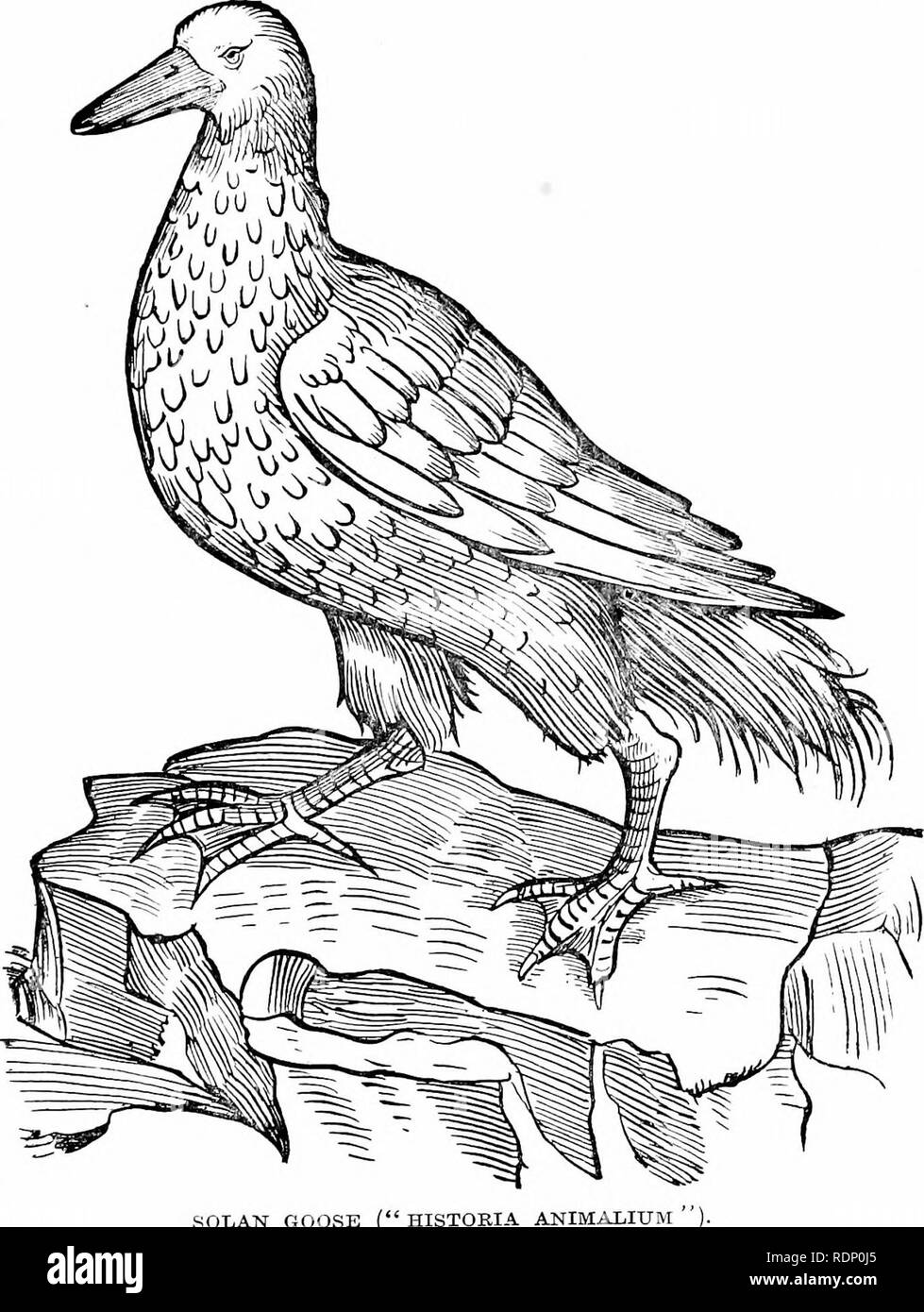 Island drive Black and White Stock Photos & Images - Page 3 - Alamy