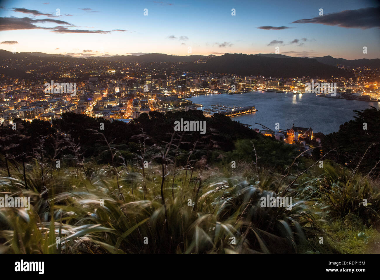 View of central Wellington, New Zealand, taken from the Mount Victoria Overlook. Stock Photo