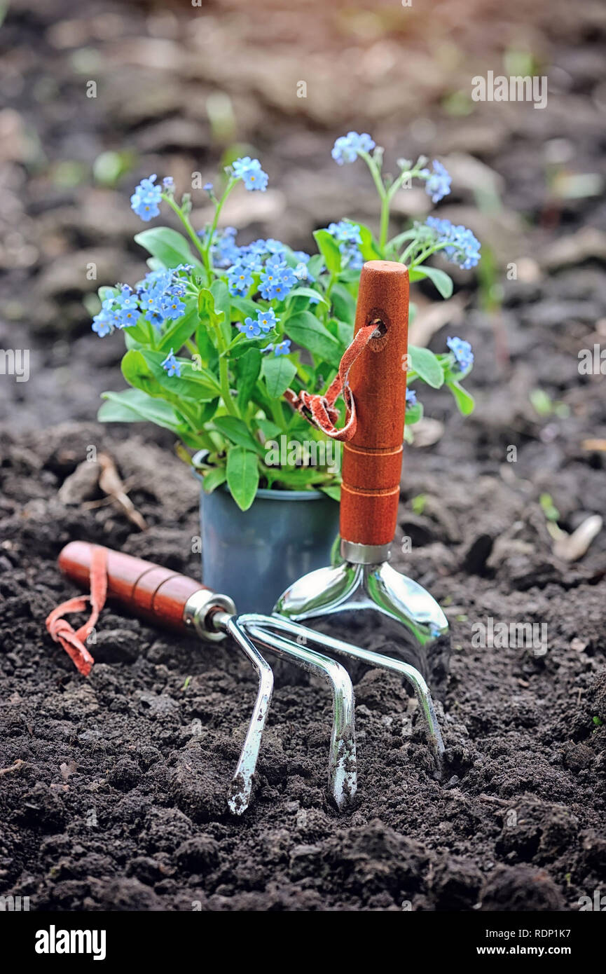 Gardening tools and spring flowers in the garden Stock Photo - Alamy
