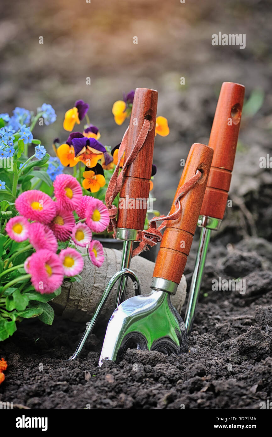 Spring Planting Tools Gardening tools and spring flowers in the garden Stock Photo - Alamy