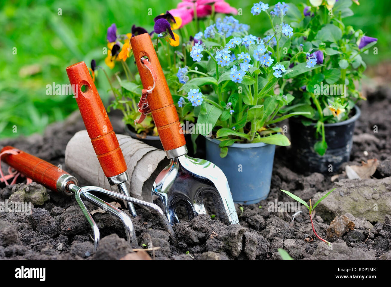 Gardening tools hi-res stock photography and images - Alamy