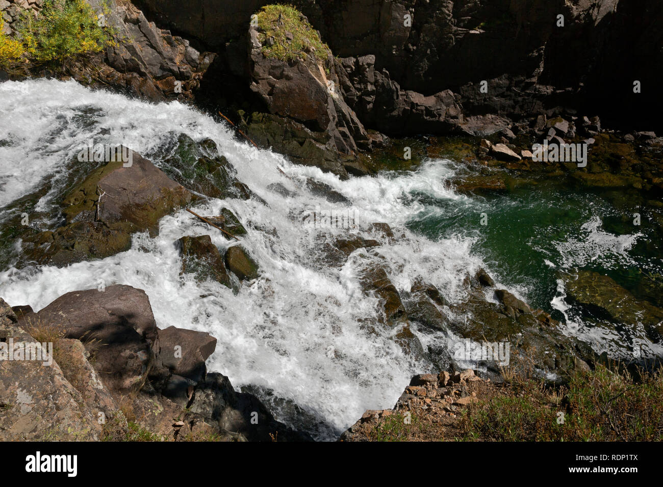 MT00258-00...MONTANA - Small waterfall on the Clark Fork of the Yellowstone River in the Shoshone National Forest. Stock Photo