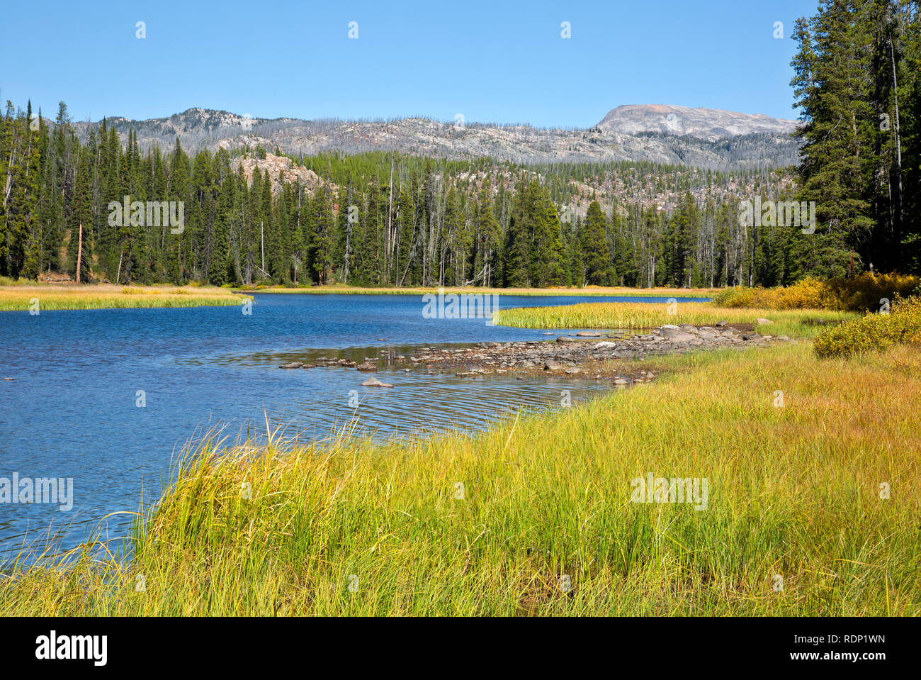 MT00262-00...MONTANA - Clark Fork of the Yellowstone River from the trail to Kersey Lake in the Shoshone National Forest. Stock Photo