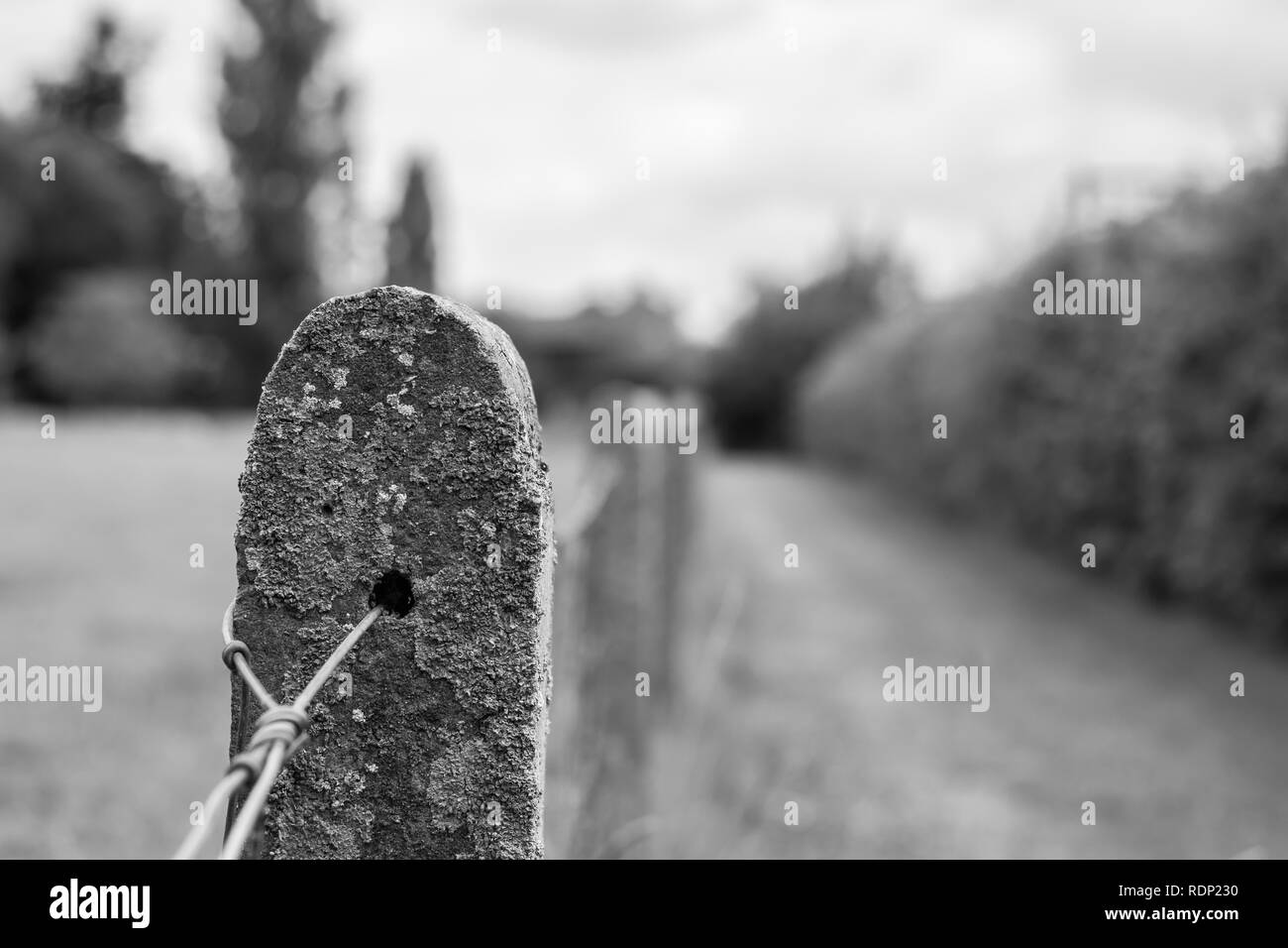 White concrete fence hi-res stock photography and images - Alamy