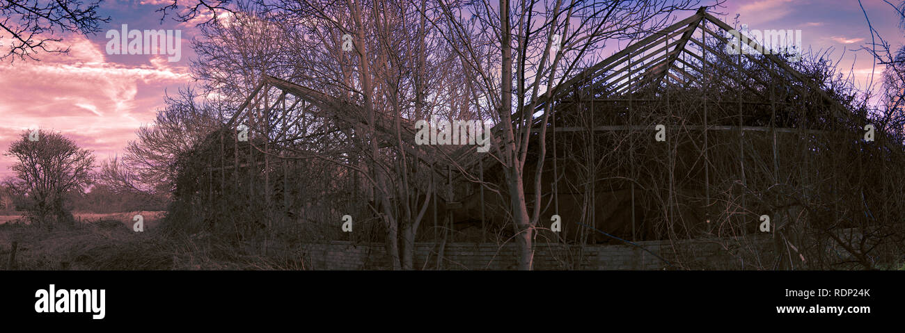 Abandoned greenhouse hi-res stock photography and images - Alamy