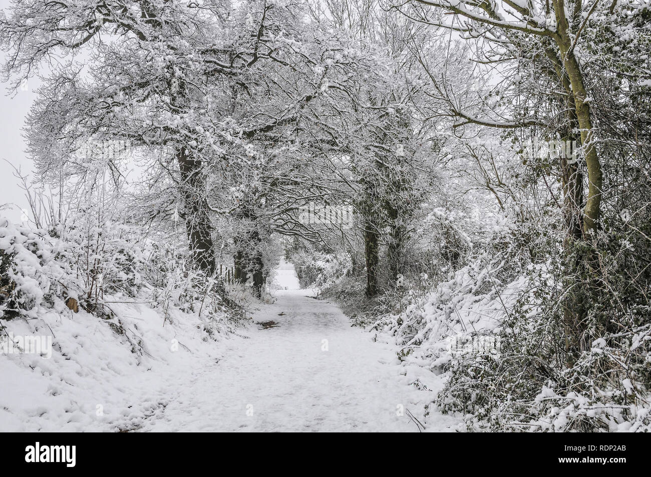 Beautiful snow berkshire hi-res stock photography and images - Alamy