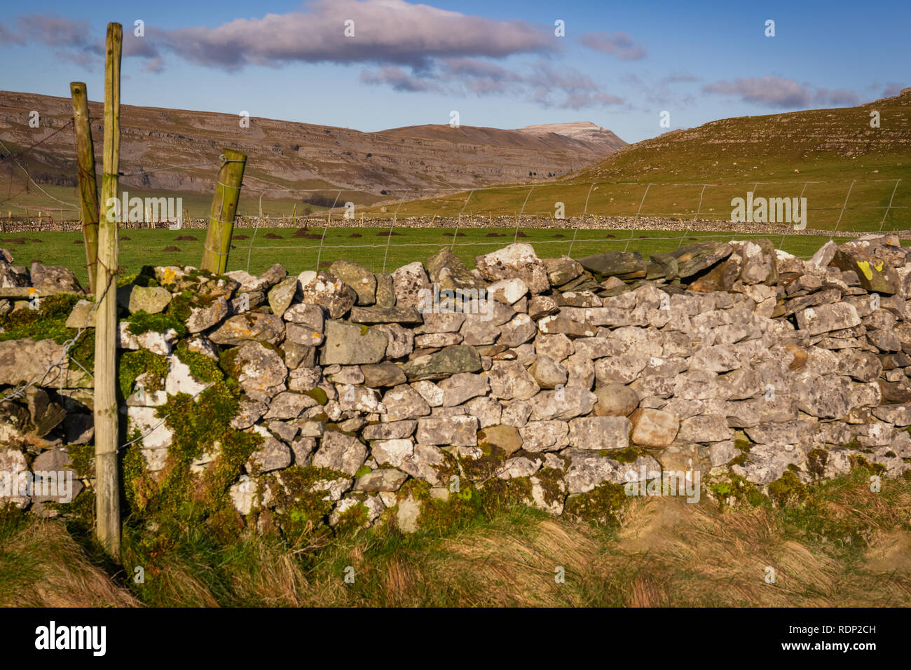 Whernside At 736m (2,415ft), the highest of the Yorkshire Three Peaks