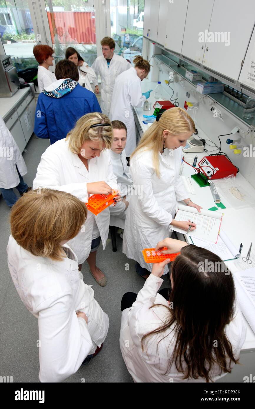 Medical students, internship group in a laboratory, the internship participants are assessing their samples, Centre for Medical Stock Photo