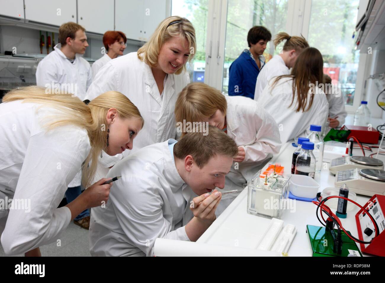 Medical students, internship group in a laboratory, the internship participants are assessing the loading of a gel in a vertical Stock Photo