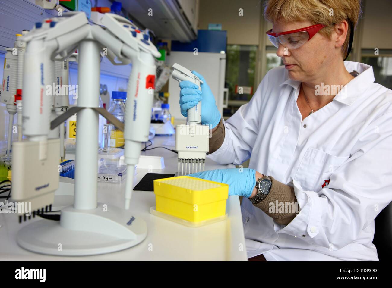 Laboratory, a scientist is transferring protein samples with a multichannel pipette onto a crystallisation plate, Centre for Stock Photo