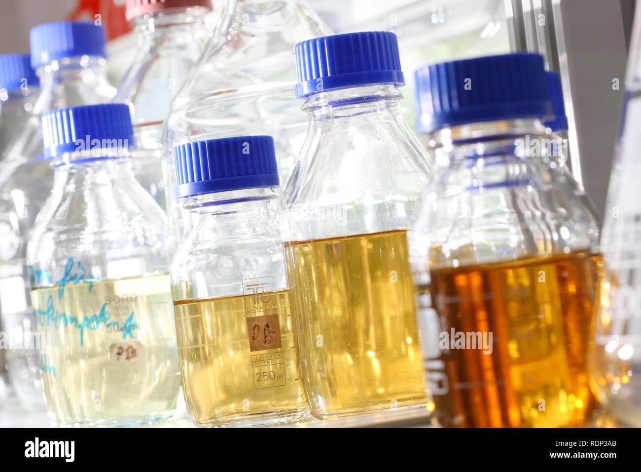 Glass jars, Centre for Medical Biotechnology at the University of