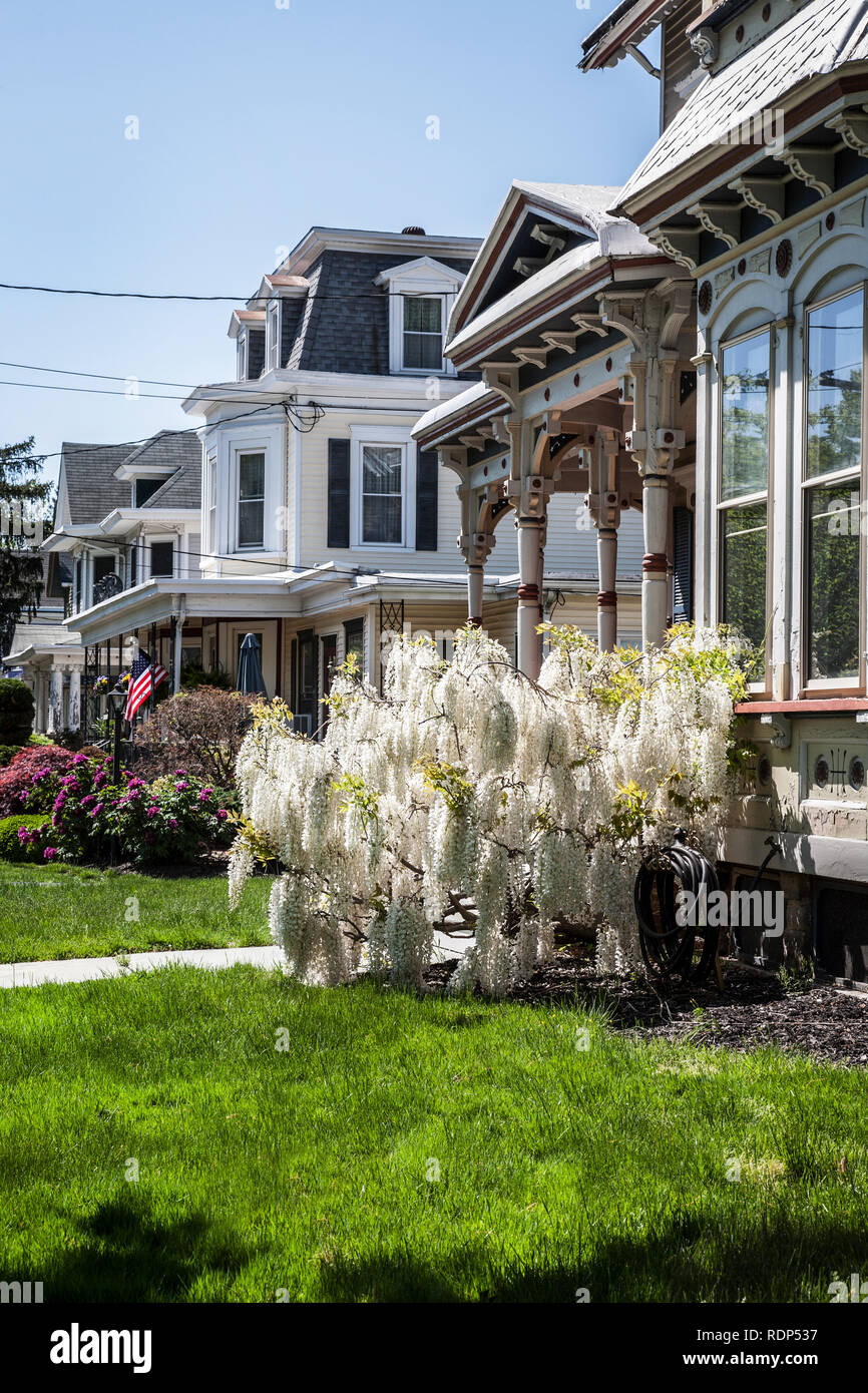 American wisterias hires stock photography and images Alamy
