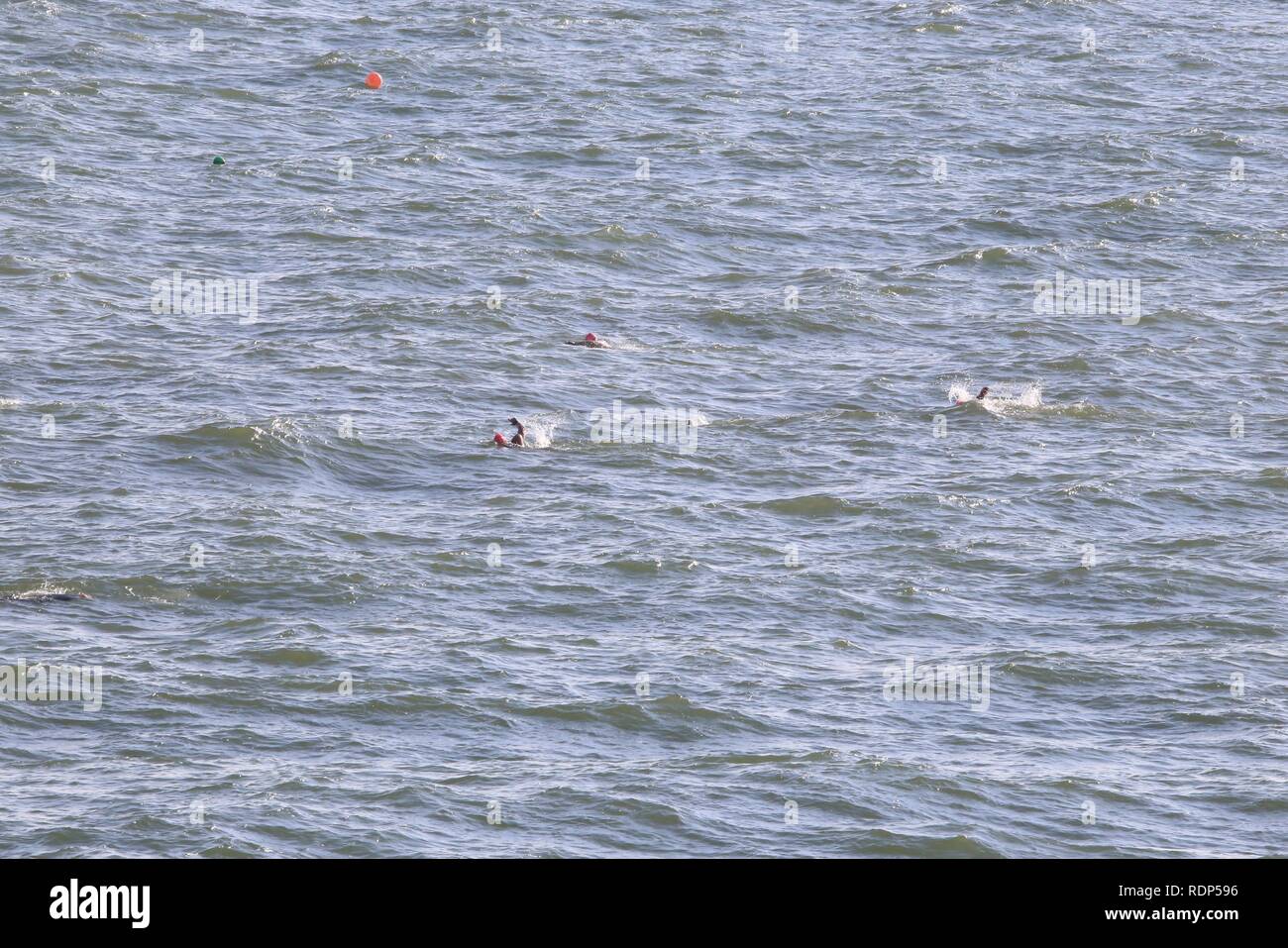 Rough Water Swimmers High Resolution Stock Photography and Images - Alamy