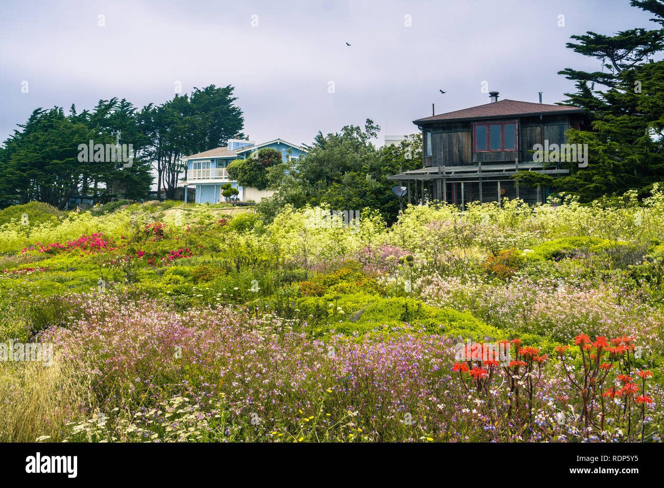 Houses in Moss Beach, San Francisco bay area, California Stock Photo