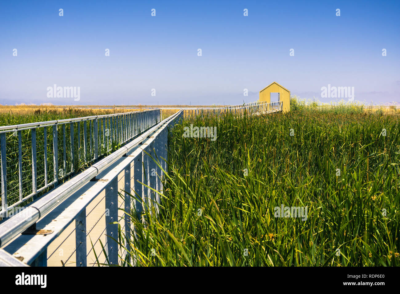 Walkway through the marsh at Alviso Marina County Park, San Jose, California Stock Photo