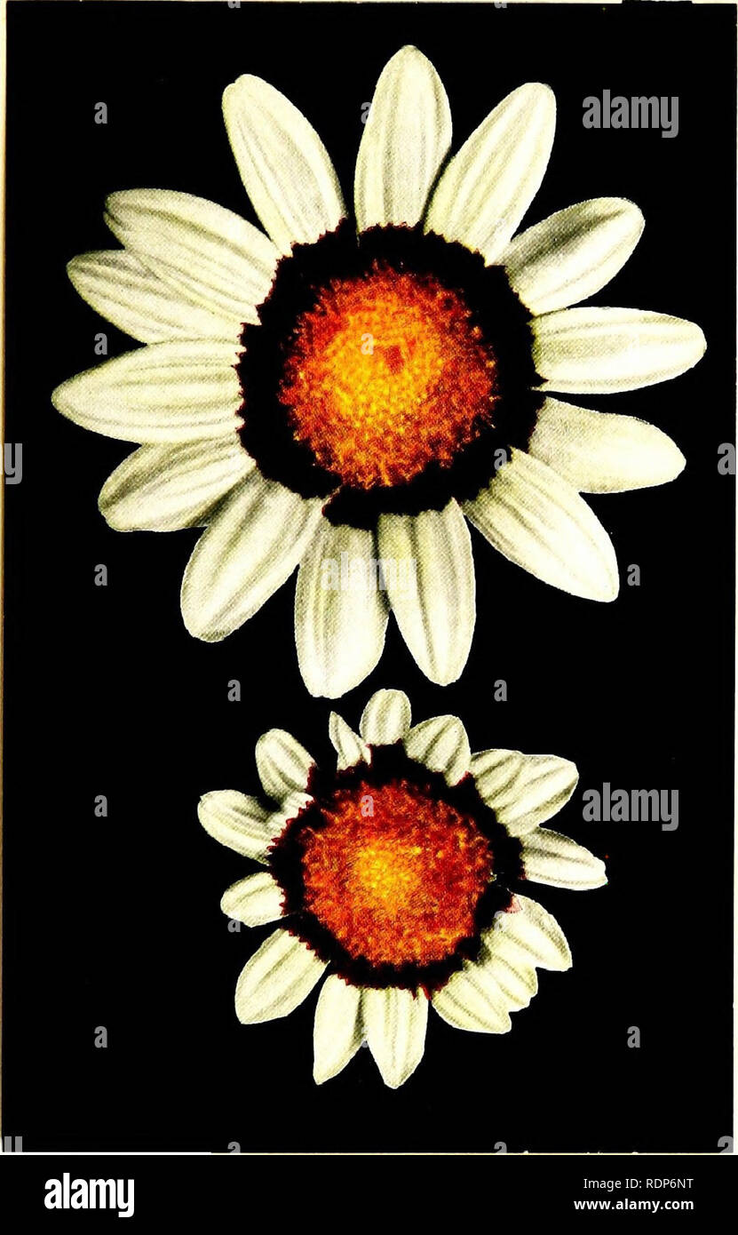 alamy