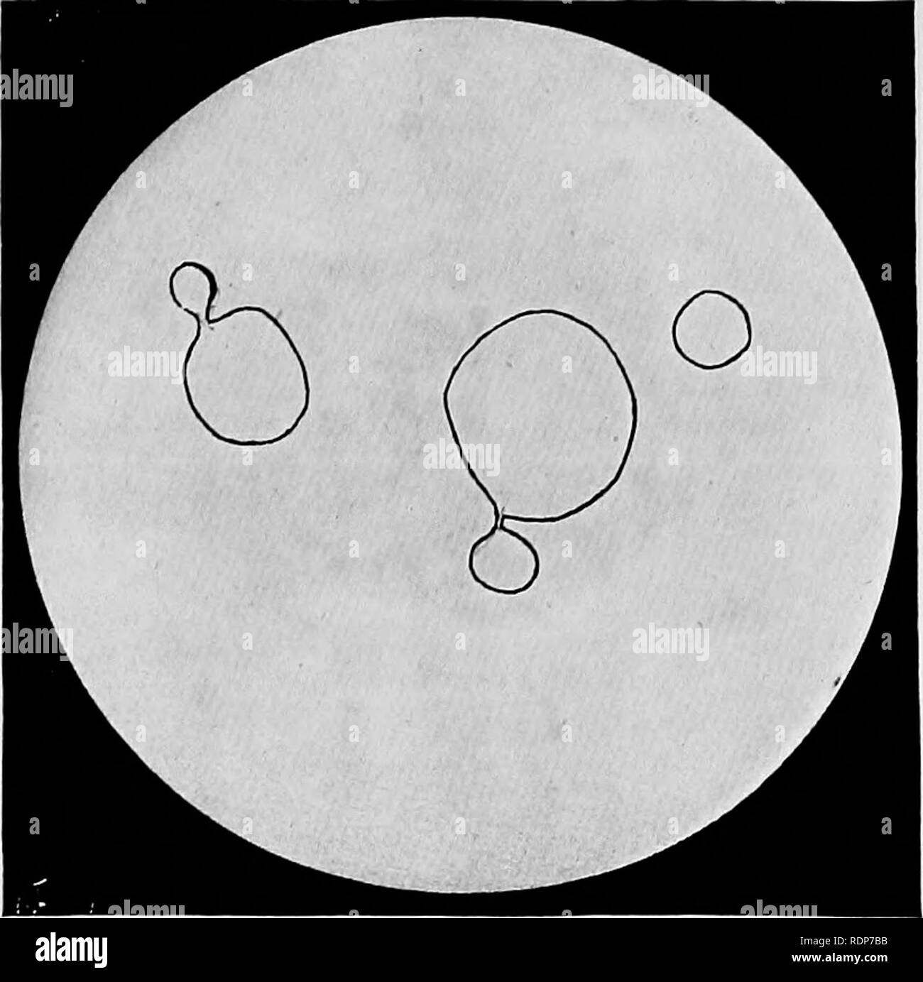 The Origin Of Life Its Physical Basis And Definition Life Biology Viii Please Note That These Images Are Extracted From Scanned Page Images That May Have Been Digitally Enhanced For Readability