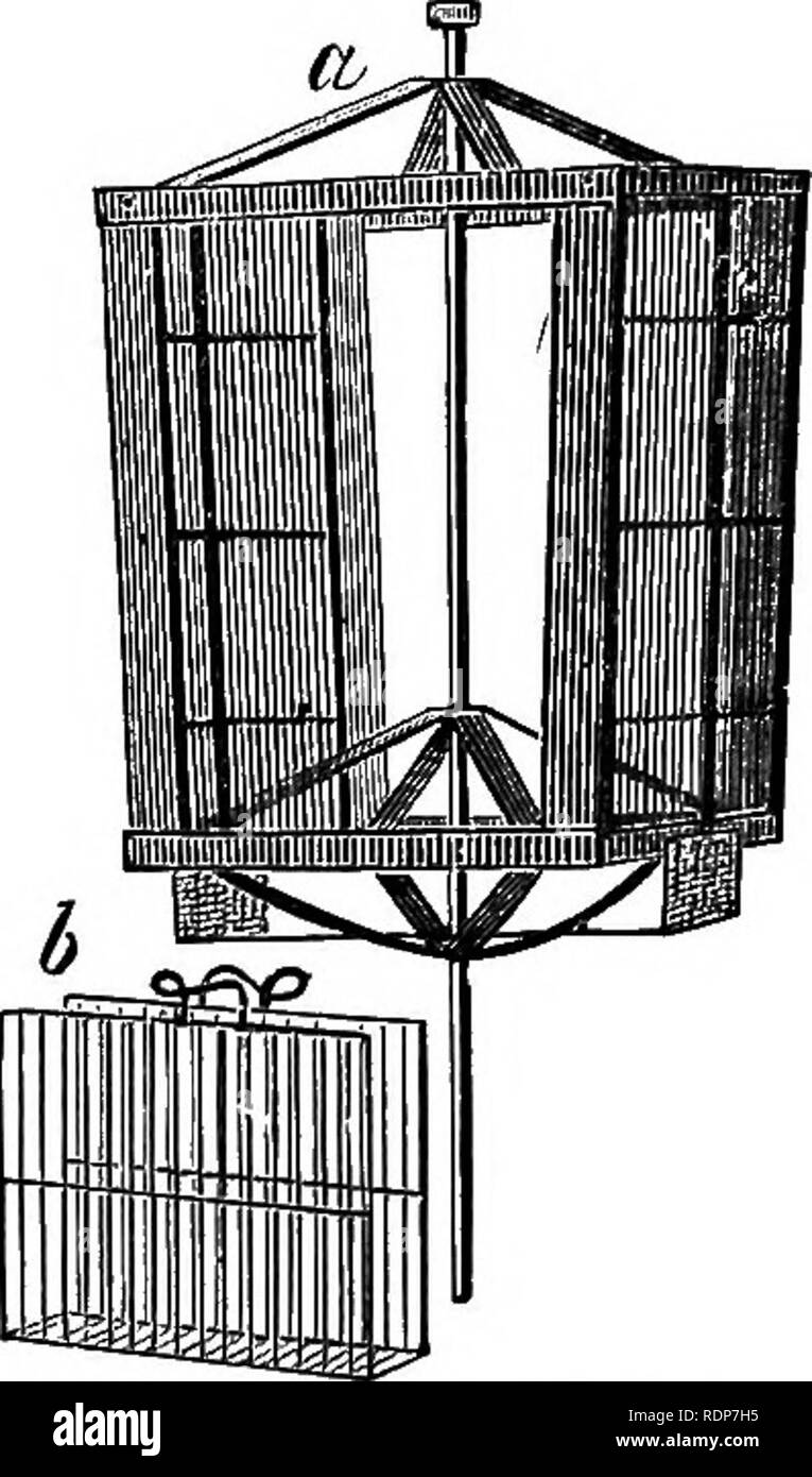 . Quinby's new bee-keeping. The mysteries of bee-keeping explained. Combining the results of fifty years' experience, with the latest discoveries and inventions, and presenting the most approved methods, forming a complete guide to successful bee-culture. Bees. Fig. 67.—^EVERETT'S EXTRACTOR, il, KEEL ; 5, COMB-BASKET. chka, of Germany, in 1868. The simple words, &quot;centri- fugal force,&quot; solved the problem, and taught us all how short a step it often is from obscurity to light. Mr. Langstroth had a glimmering of it, ten years before, when he wrote, &quot; If store combs could be made of Stock Photo