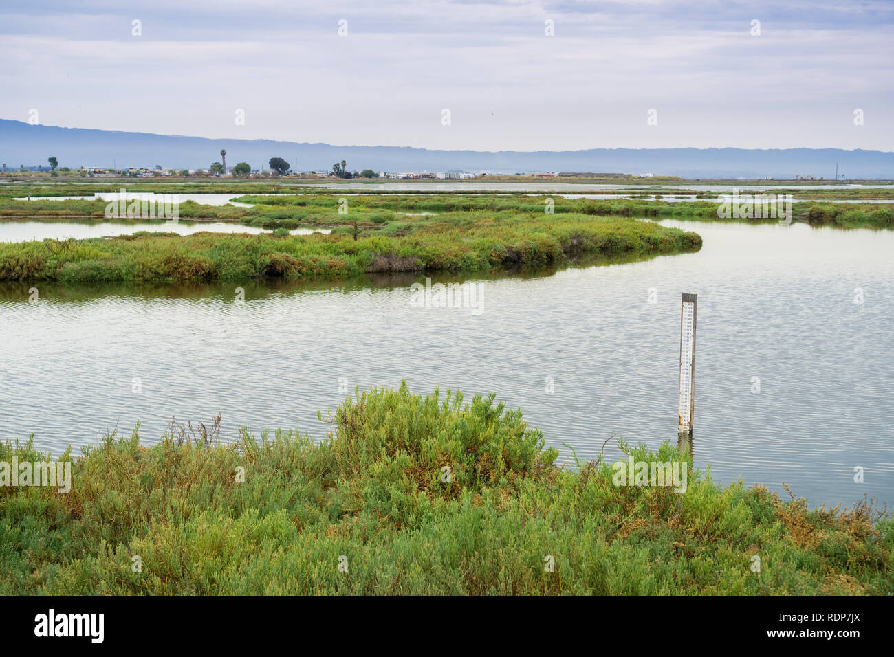 Wetlands in Alviso Marsh, south San Francisco bay, California Stock Photo