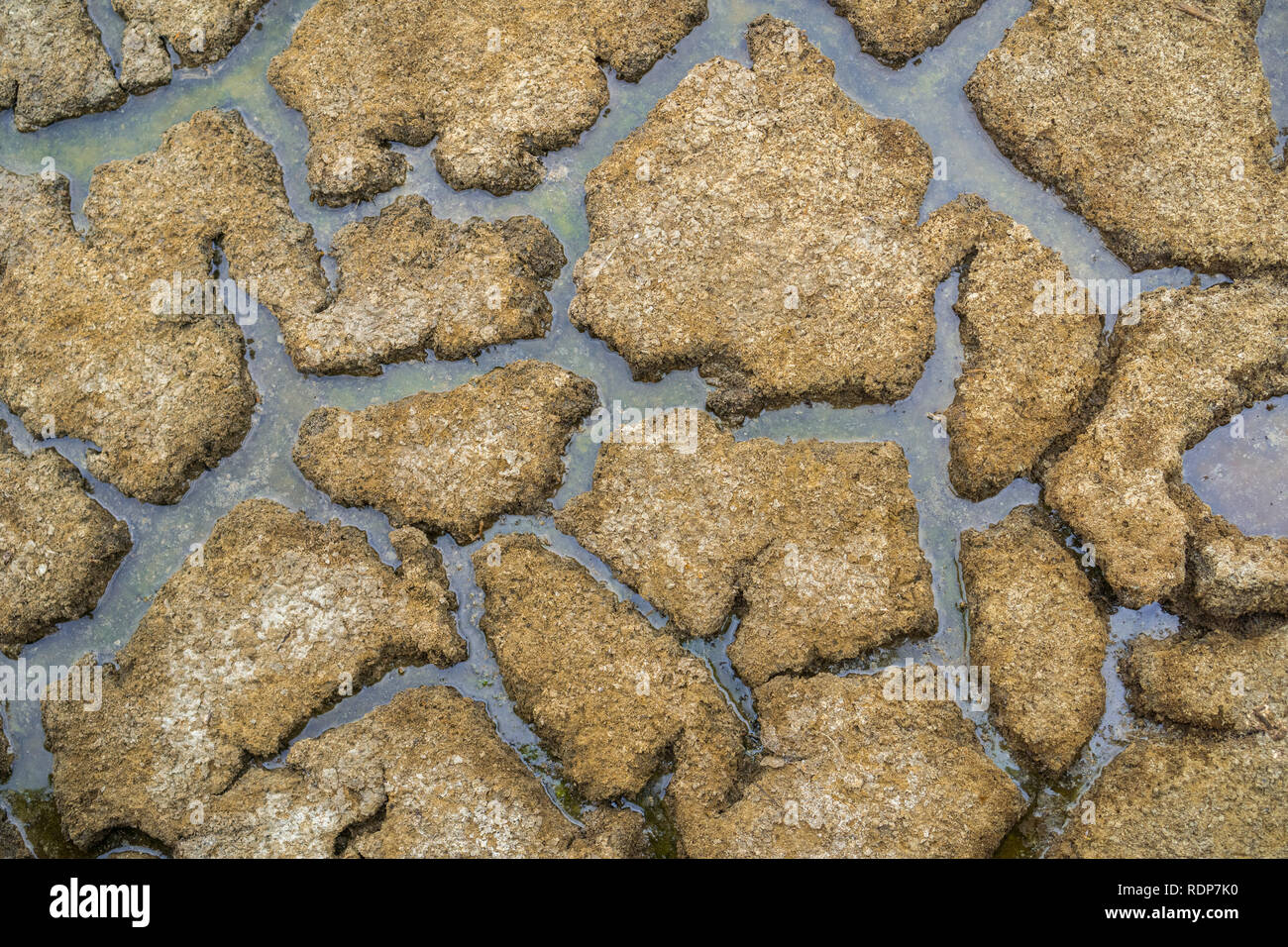 Dried mud, Alviso marsh, south San Francisco bay, California Stock Photo