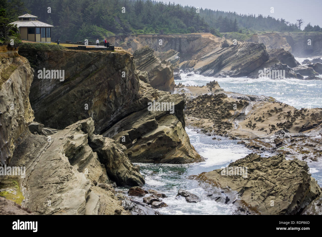 Dramatic shoreline with strange rock formations at Shore Acres State Park, Coos Bay, Oregon Stock Photo