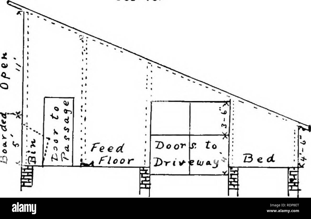 Productive Swine Husbandry Swine Floor A F T 0 U A Y 7 A S I Quot A 5 E A E Rf 73i Y S Ji Fio 73 Fig 74