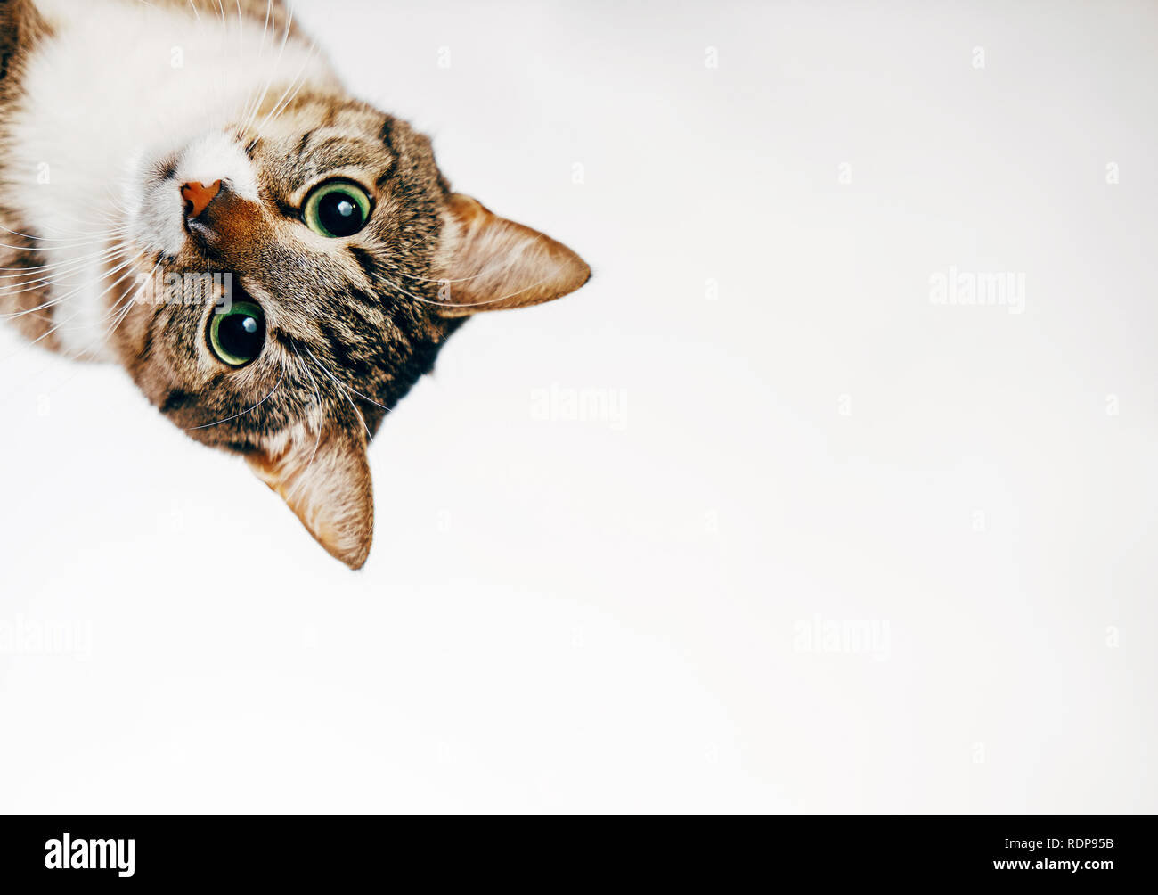 Look Around Corner High Resolution Stock Photography and Images - Alamy