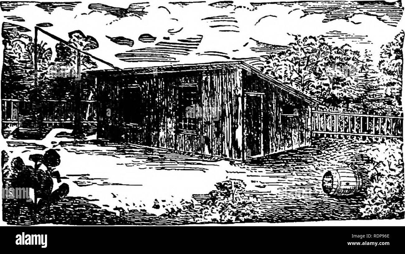 A Poultry Compendium Being A Brief Treatise On The Rearing