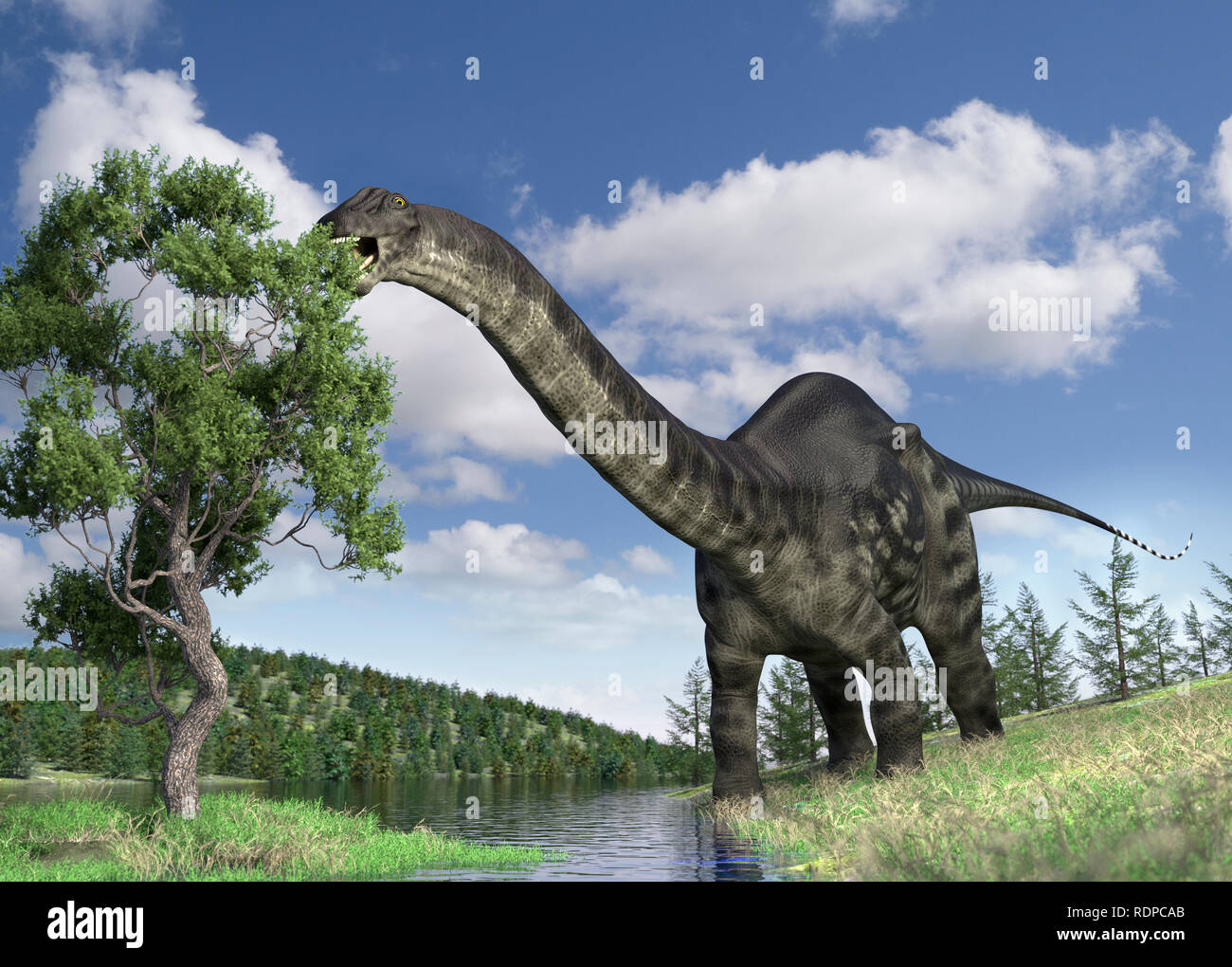 Brontosaurus Hi res Stock Photography And Images Alamy