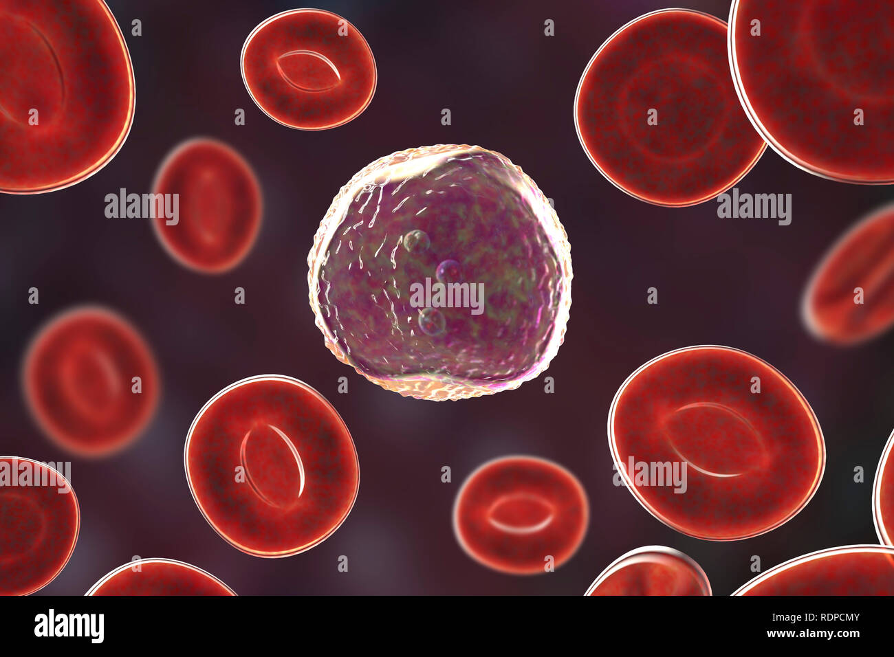 Red cell antibodies hires stock photography and images Alamy
