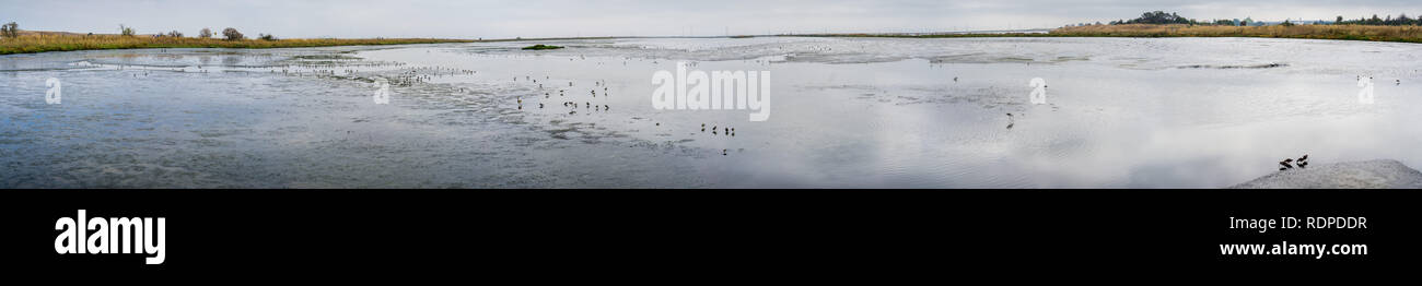 Panoramic landscape of the marshes of San Francisco bay, Mountain View, California Stock Photo
