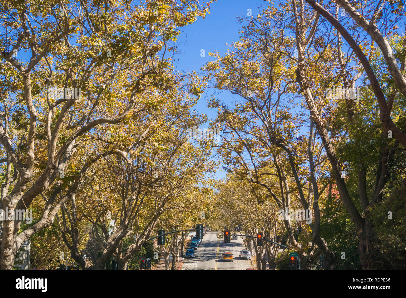 Oakland green road hires stock photography and images Alamy