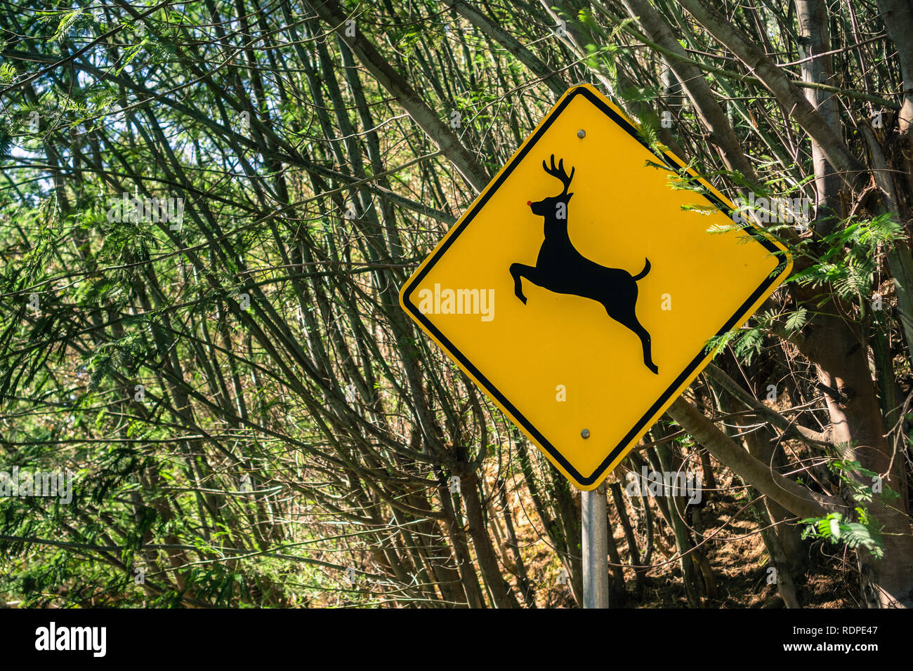 Олень можно перенести. Предупреждающие знаки Дикие животные. Дорожный знак олени на дороге. Внимание олени. Дорожный знак олени бегают через дорогу.