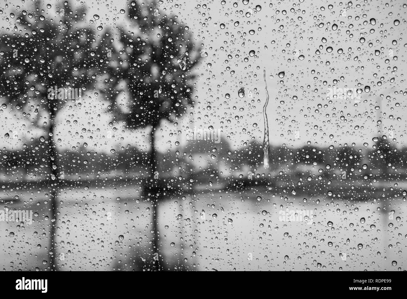 Drops of rain on the windshield; trees reflected in the wet pavement; black and white Stock Photo
