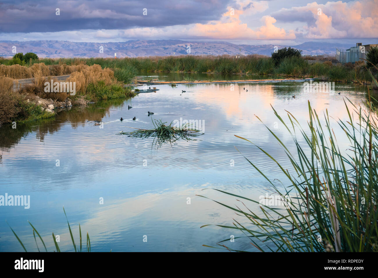 Sunset landscape of the marshes of south San Francisco bay, Sunnyvale, California Stock Photo