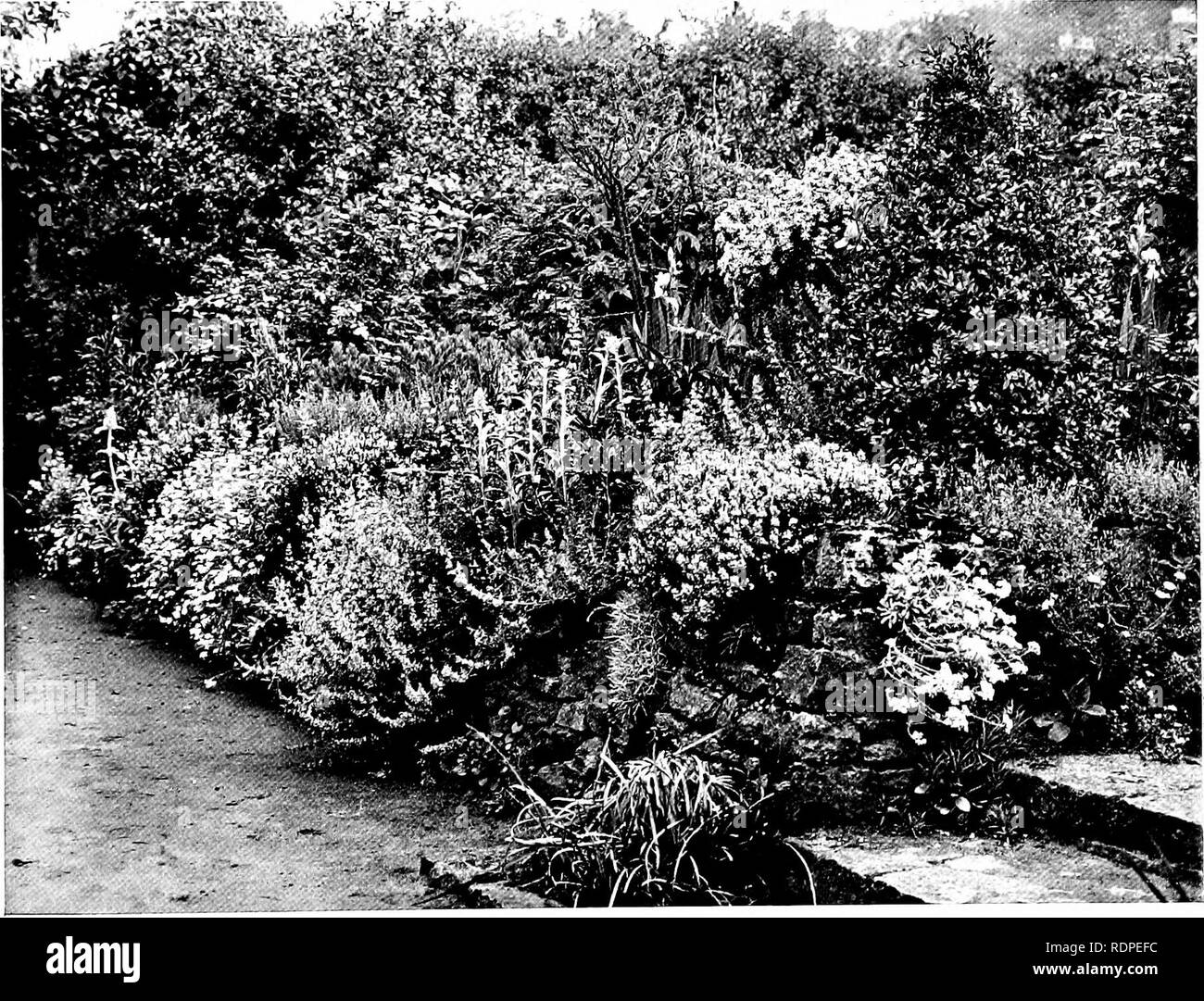 Gardens For Small Country Houses Gardens English Millmead