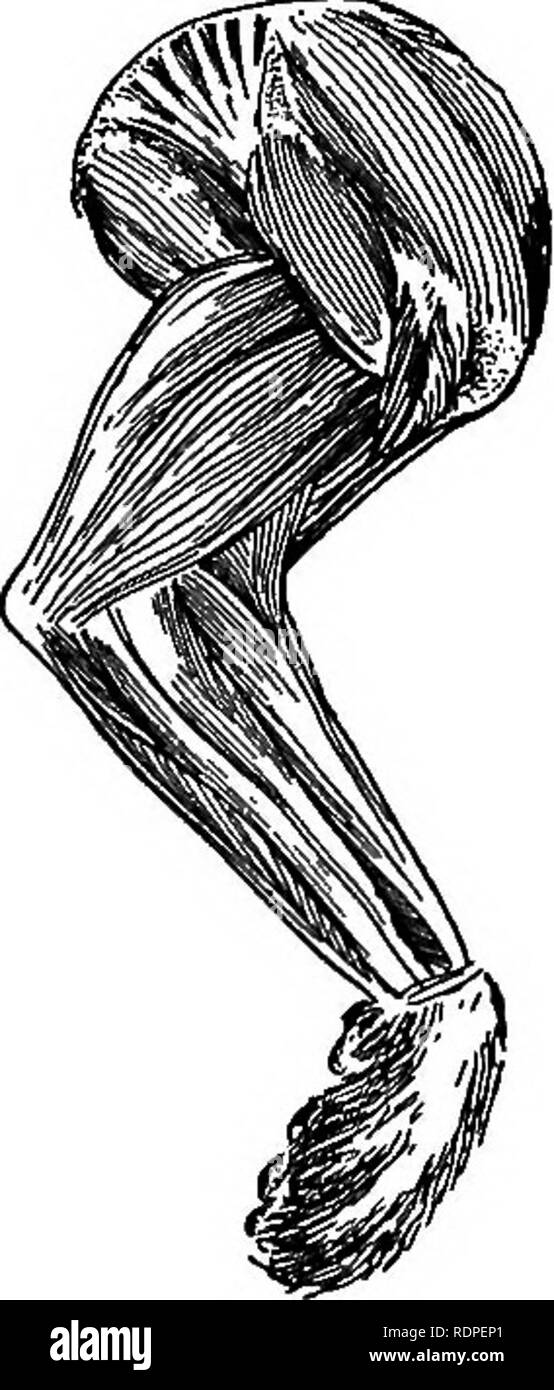 20+ Drawing Quick Draw Drawing Slender Man Images