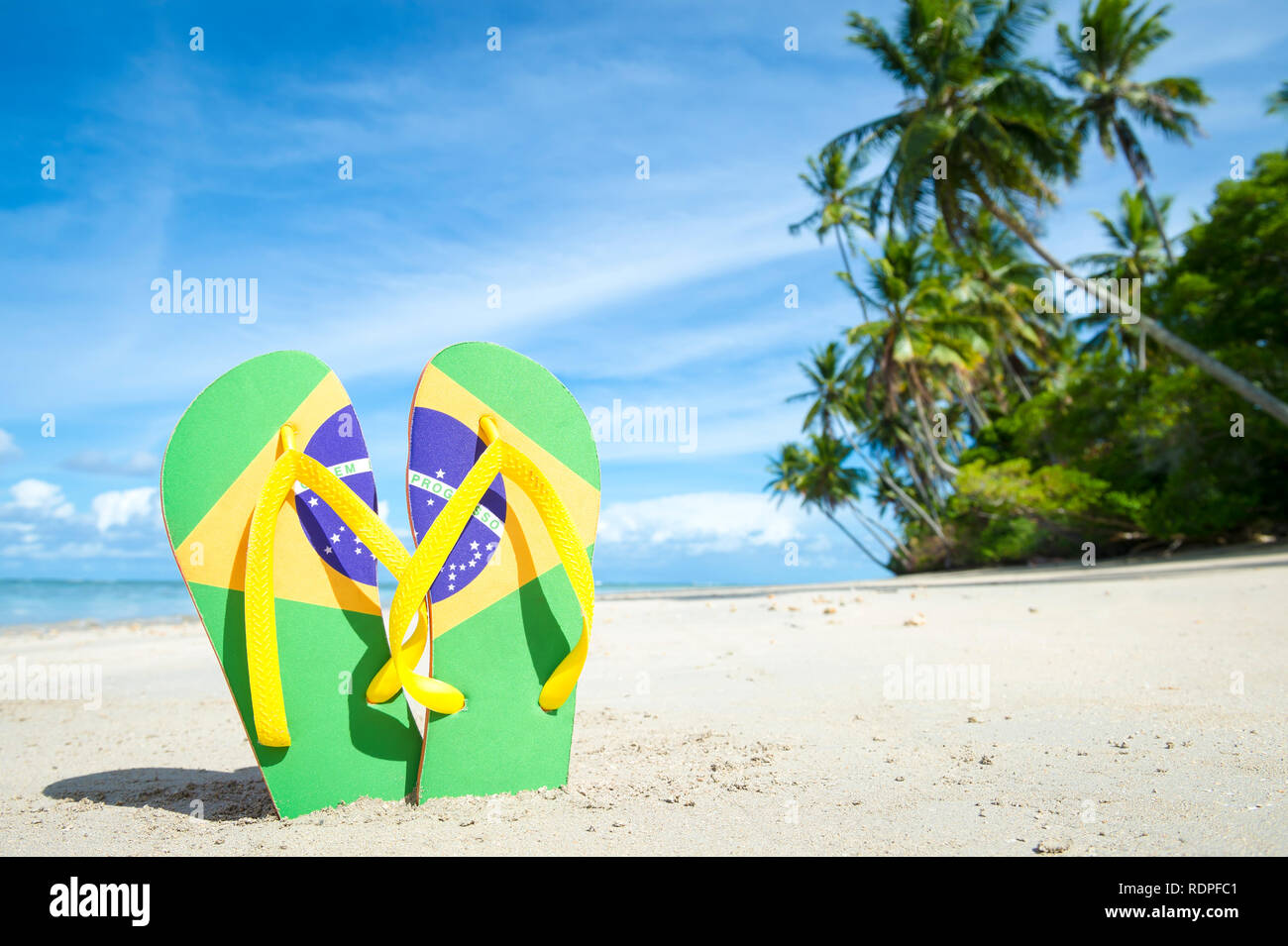 Brazil flag flipflops standing in the sand on the shore of a palm