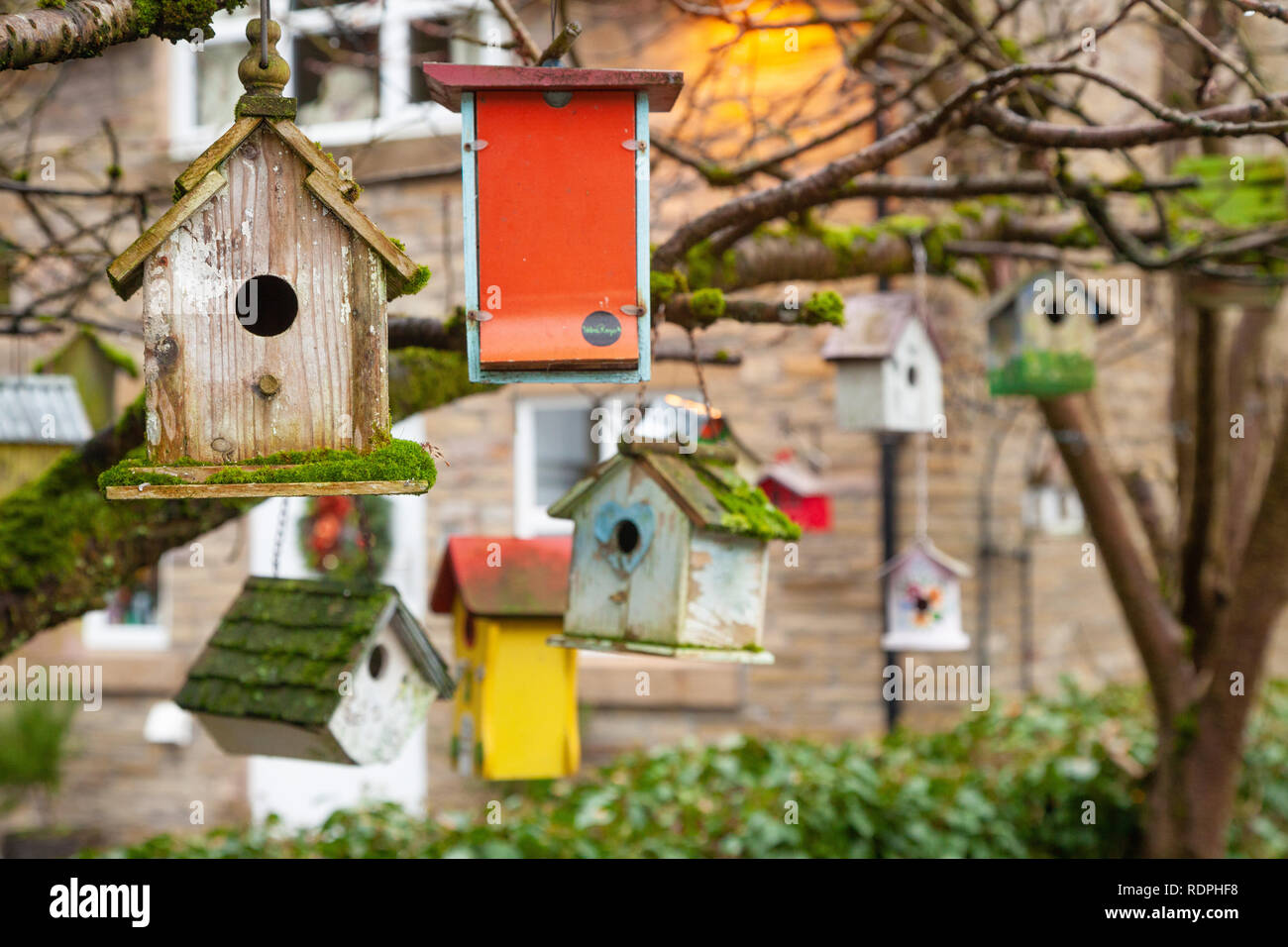 A large collection of wooden bird boxes hanging from a tree. Stock Photo