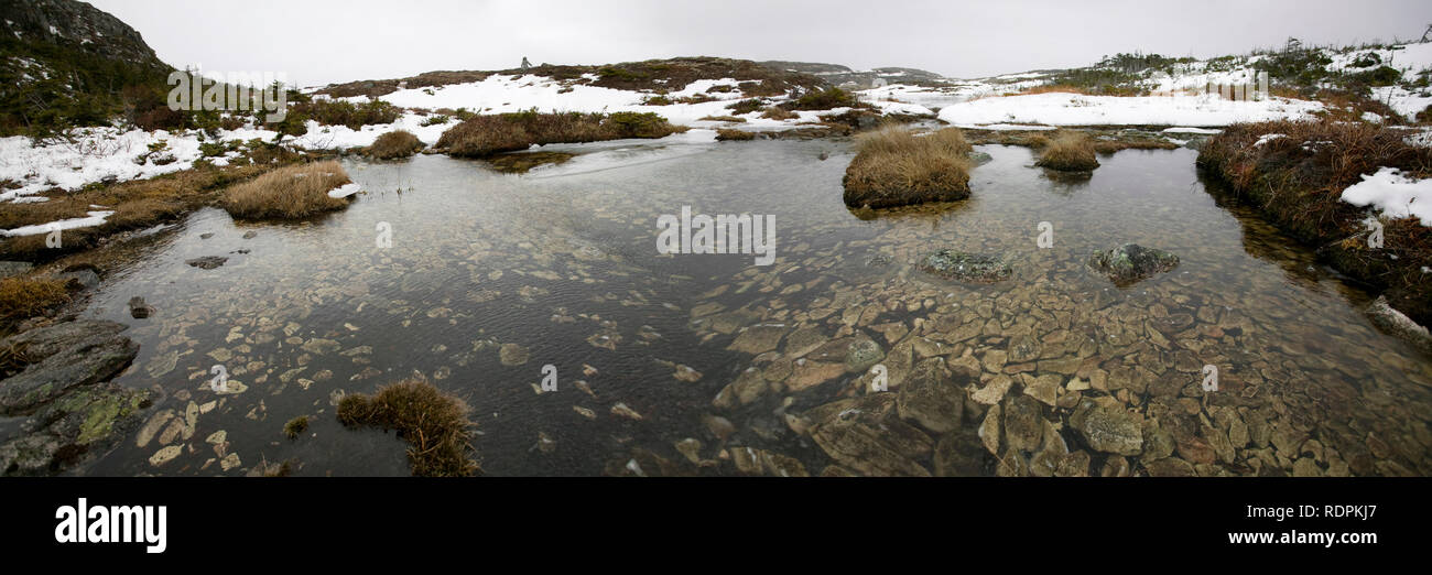 Bogs and moors, part of preservation land on Saint Pierre et Miquelon, France Stock Photo