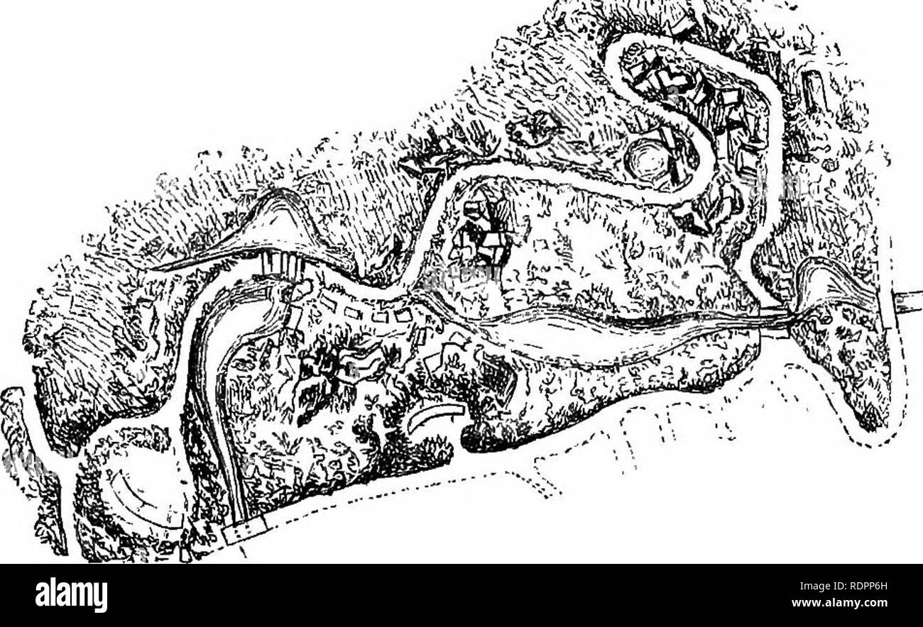 . My garden, its plan and culture together with a general description of its geology, botany, and natural history. Gardening. GENERAL PLAN OF THE GARDEN. 39 gate near Wallington Bridge, we pass parallel to the vinery by a straight walk, which leads to the backwater, where the features of my garden begin. On the right is a rustic view towards- Wallington Bridge, on the left is the fern glade, with its stream, banks of ferns, and beautiful sward, whilst a bridge enables us to pass over to the back- water (plates 18 and 20) and gain the border of the lake. At the top of the fern glade, we suddenl Stock Photo